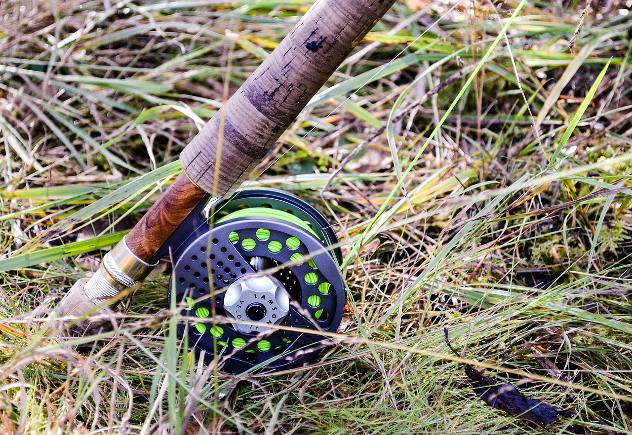 lamson coil fly reel free photo