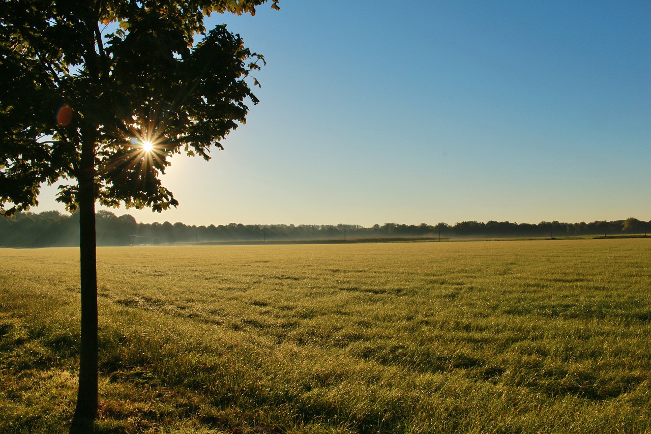 land field sunrise free photo