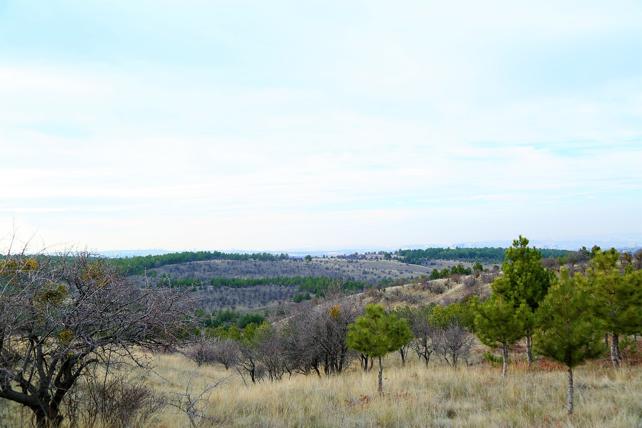 land  nature  winter free photo