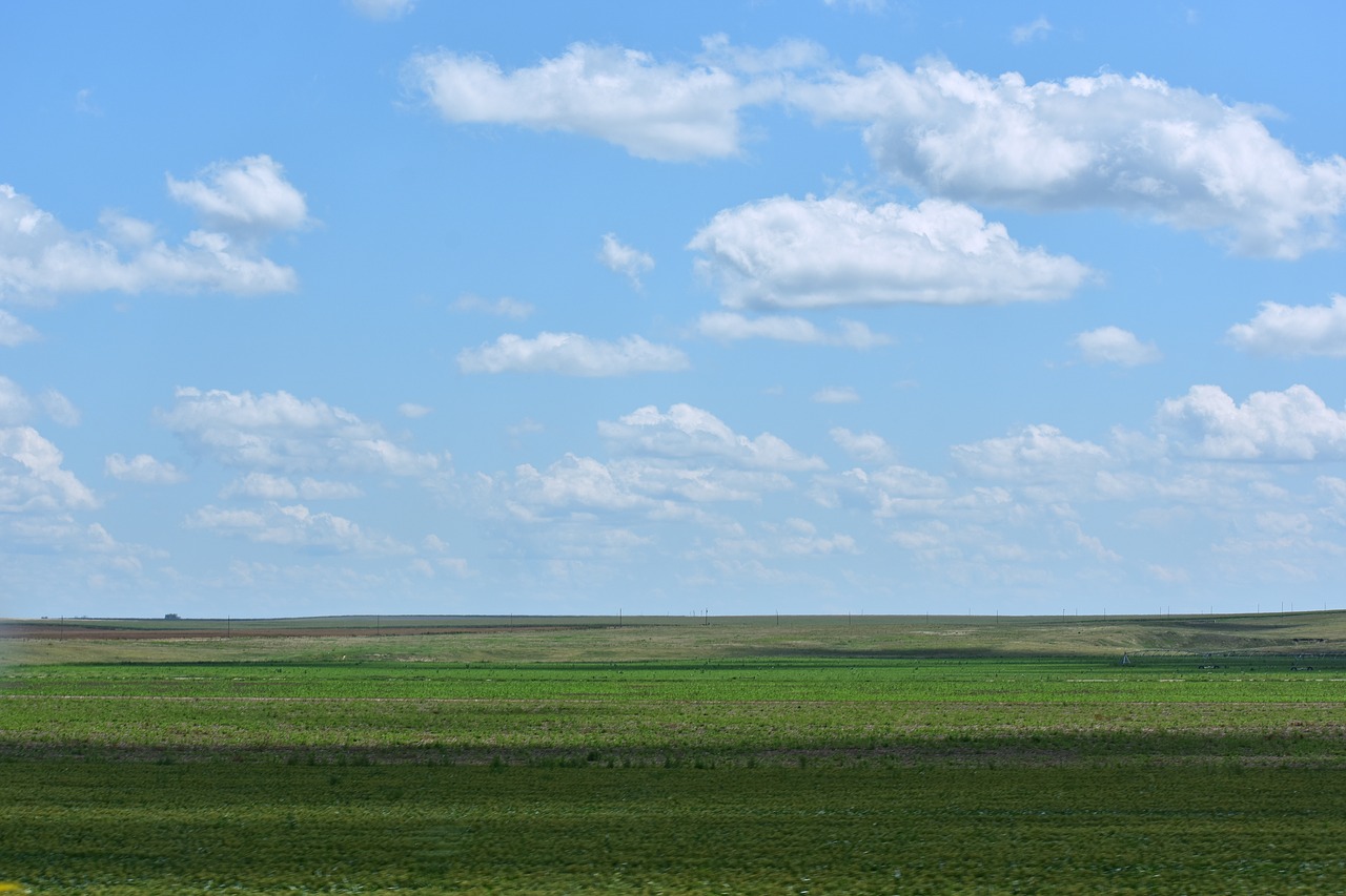 land  green  sky free photo