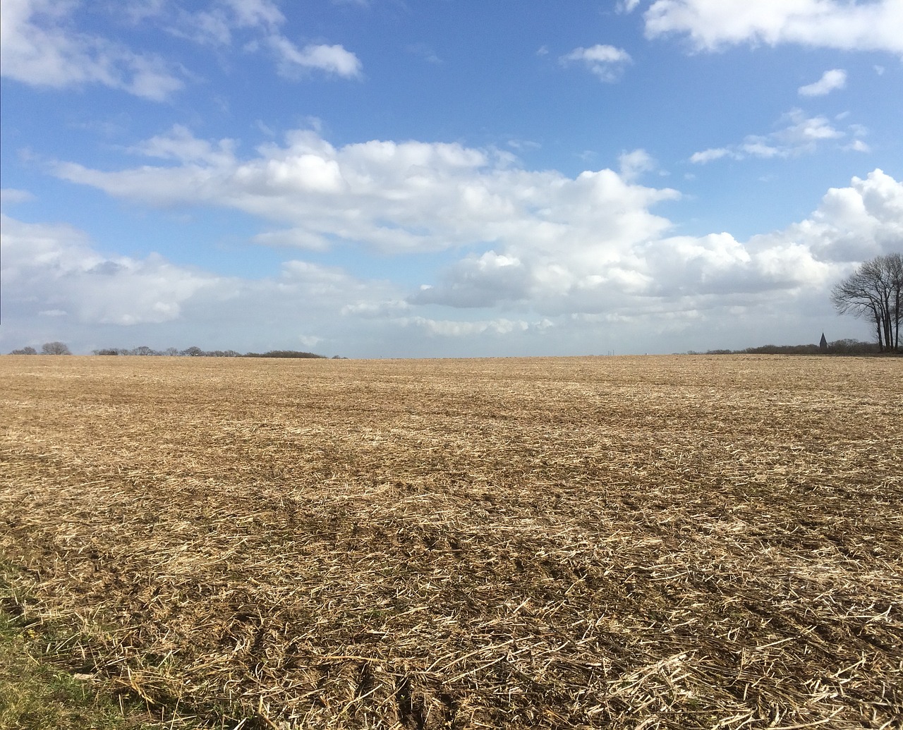 land field agriculture free photo