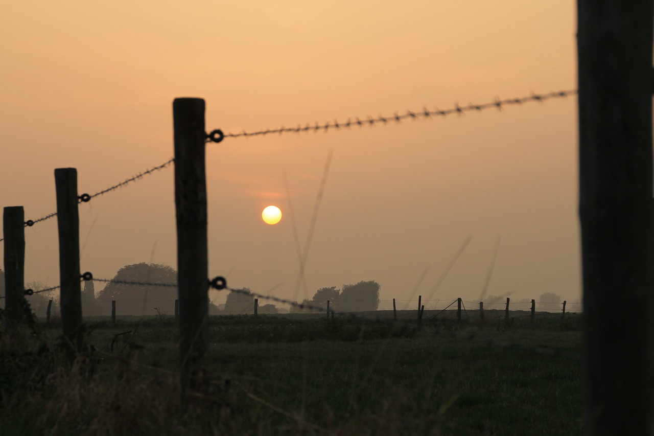 land fence sunset free photo