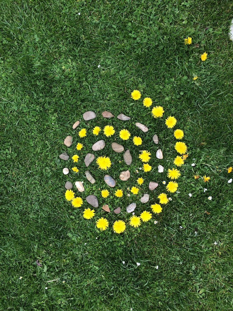 land art children flowers free photo