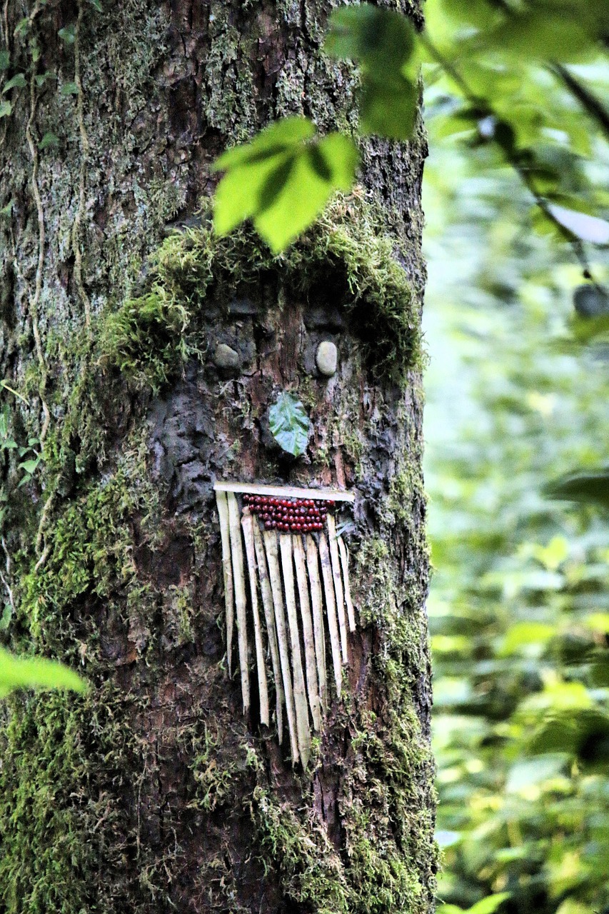 land-art  forest art  tree free photo