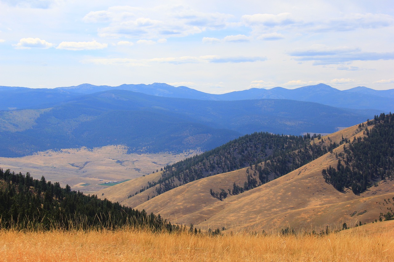 land scape  big sky  custer free photo