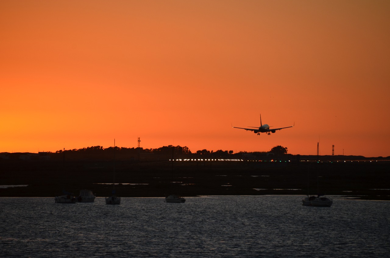 landing evening fly free photo