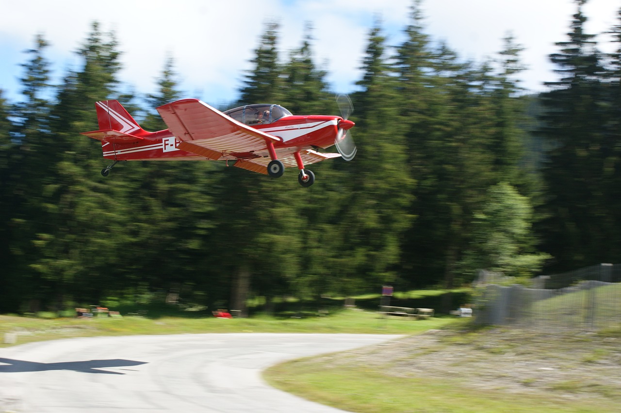 landing aircraft mountain free photo