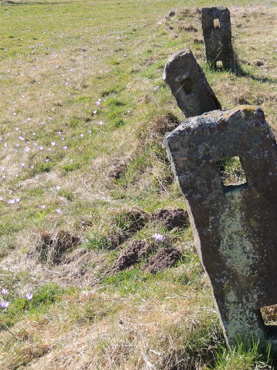 landmarks meadow spring free photo