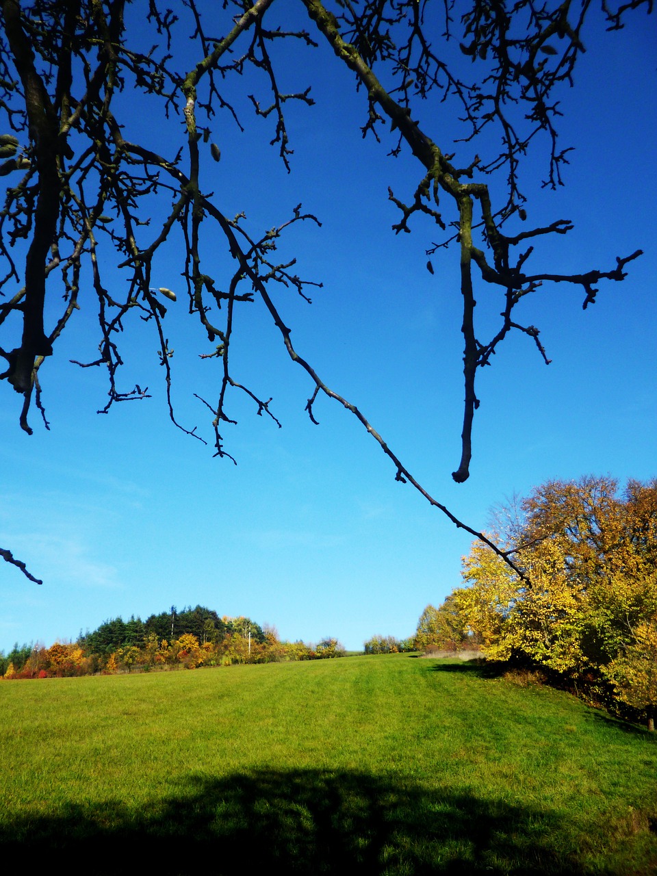 landscape nature panorama free photo