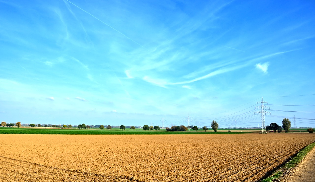 landscape agriculture field free photo