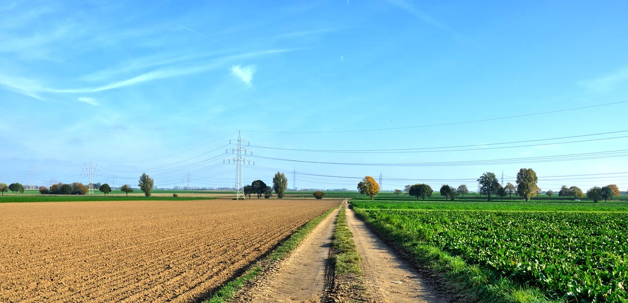 landscape agriculture field free photo