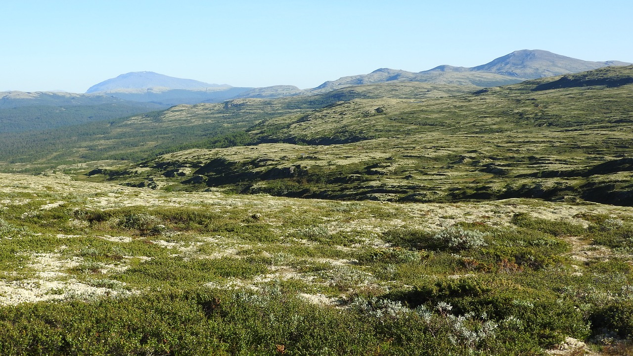 landscape plains mountains free photo