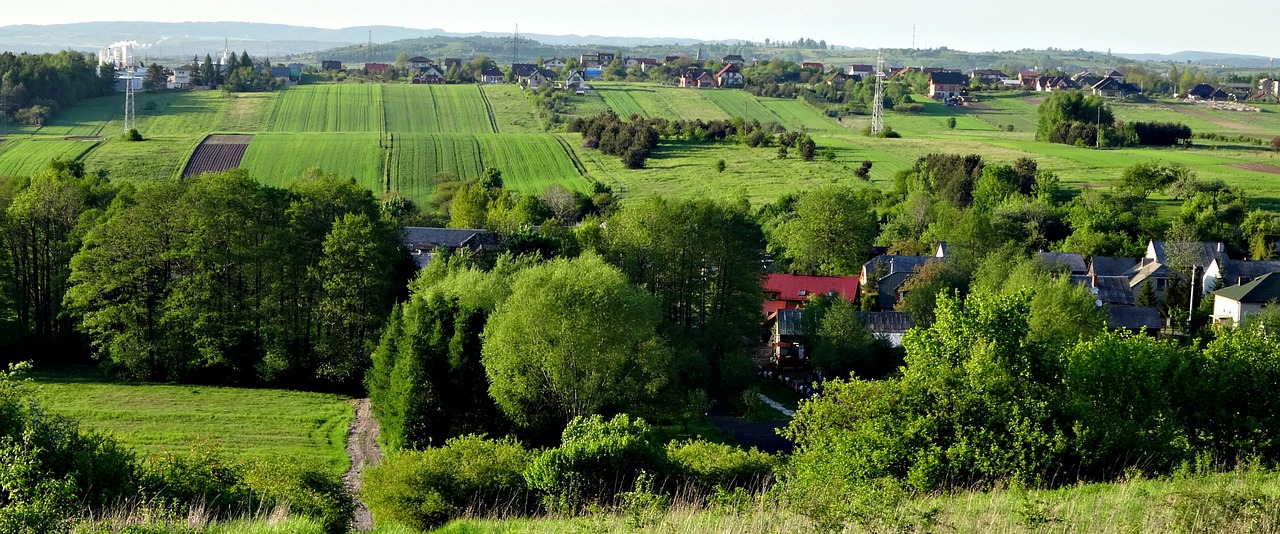 landscape poland tree free photo