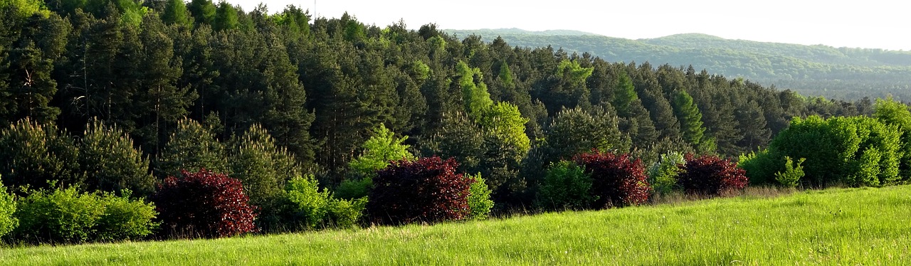 landscape nature poland free photo