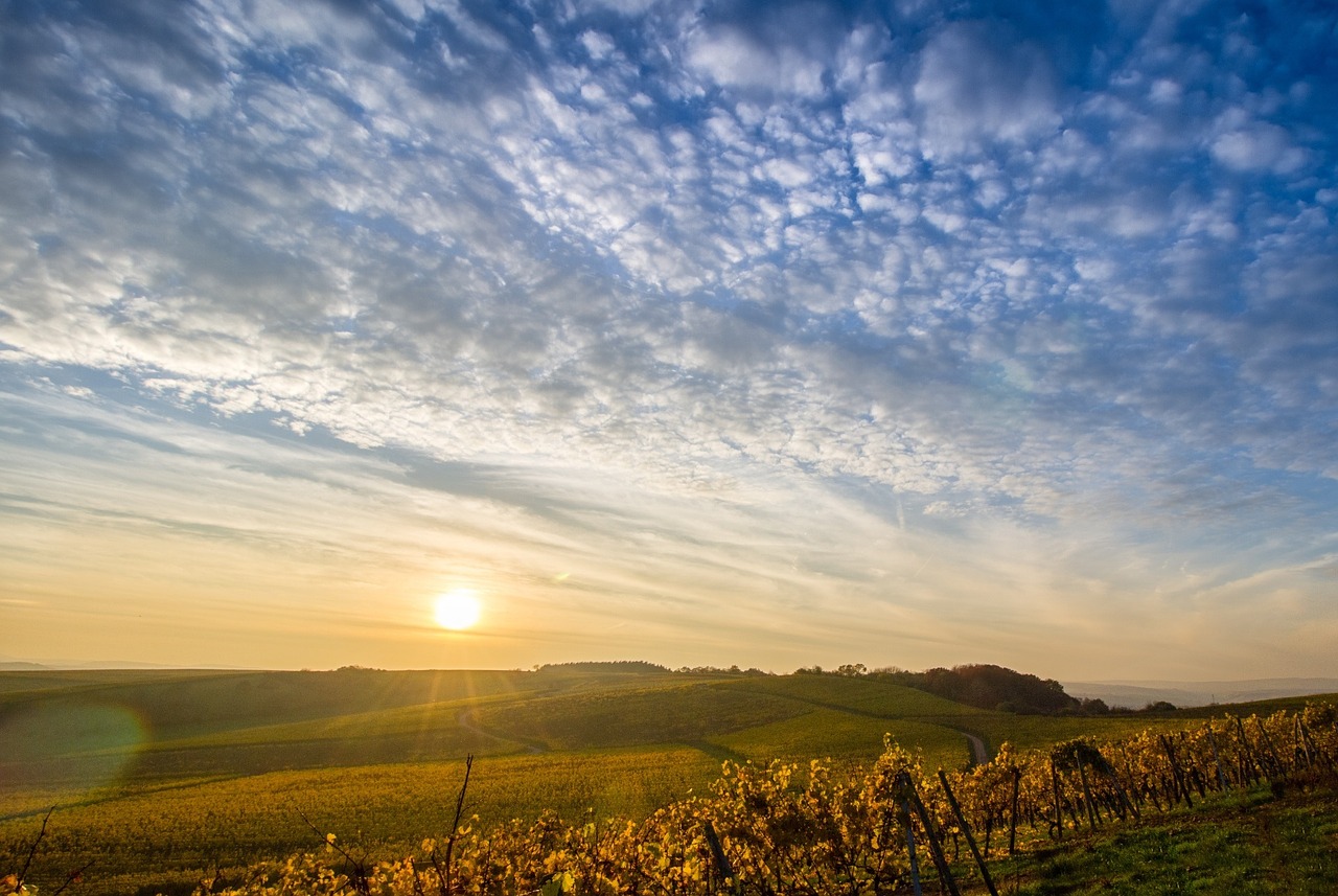 landscape sky vineyards free photo