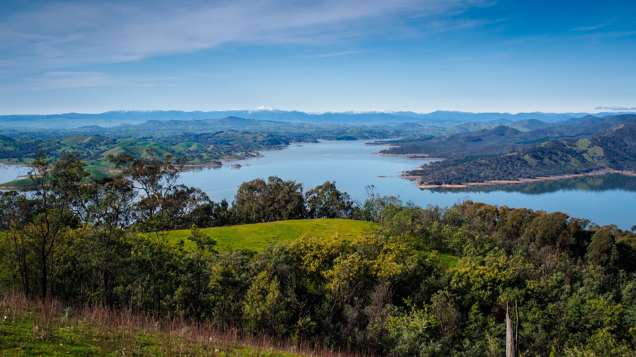 landscape trees river free photo