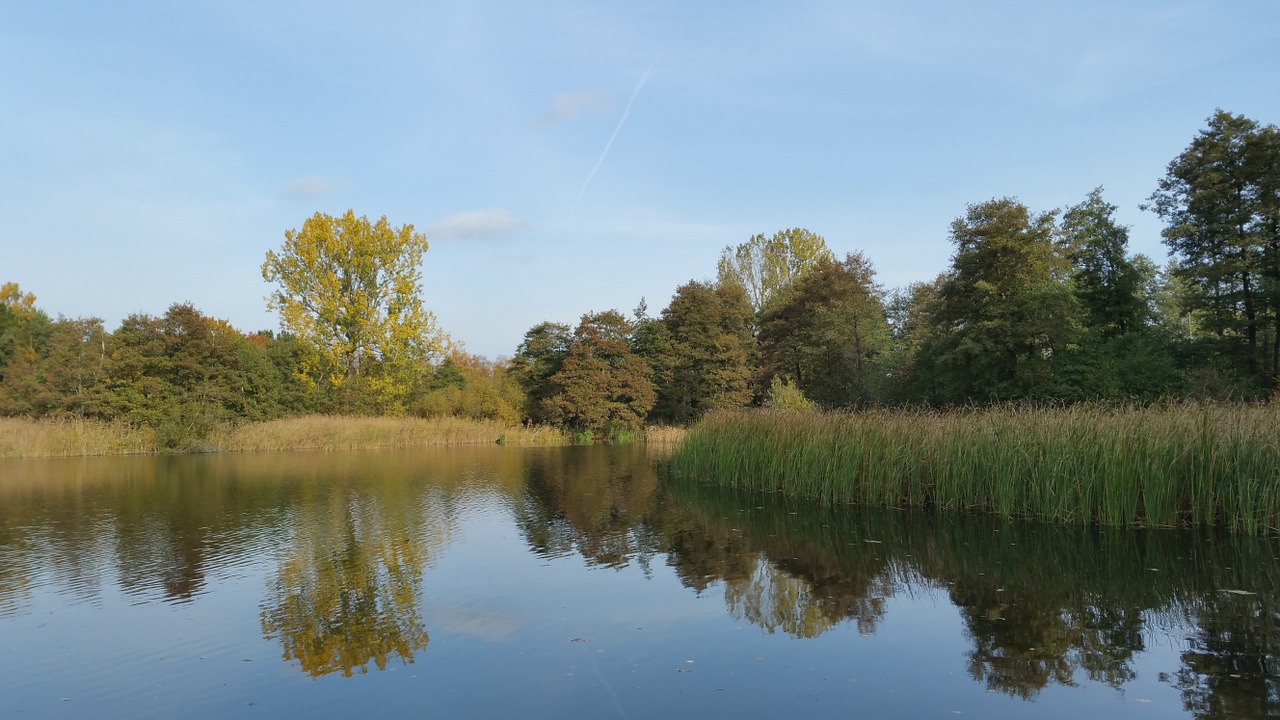 landscape autumn lake free photo