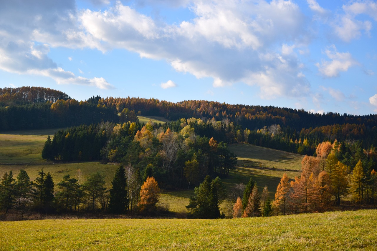 landscape nature autumn gold free photo