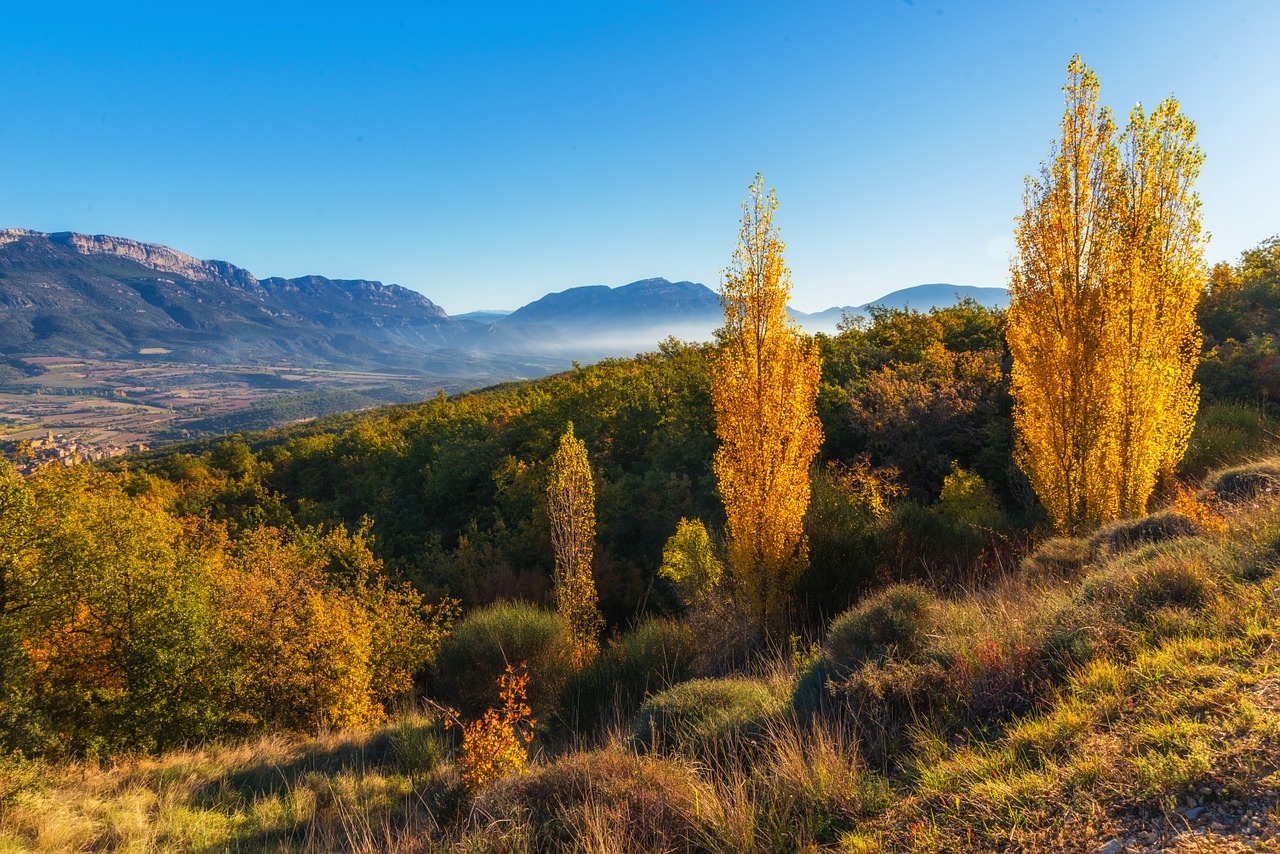 landscape autumn ager free photo