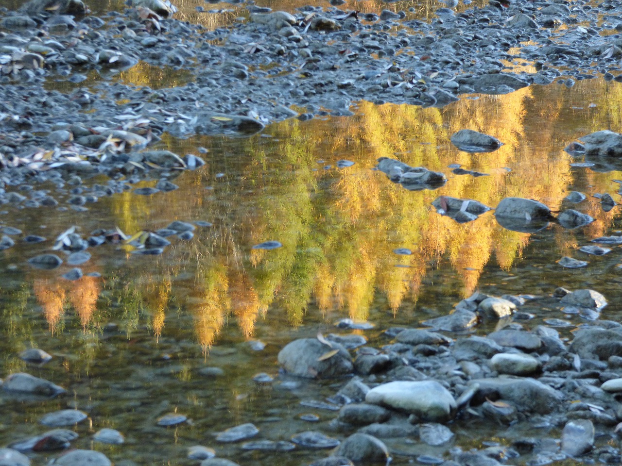 landscape autumn golden autumn free photo