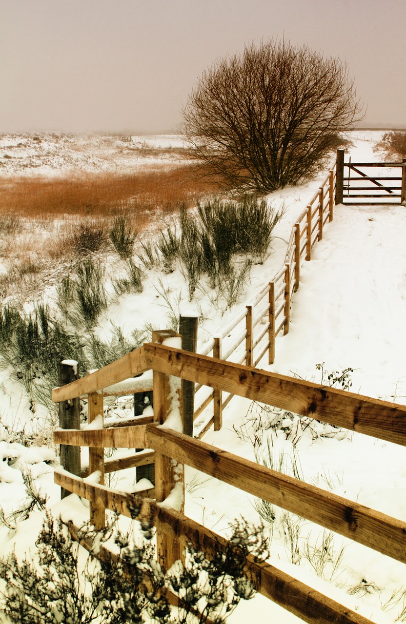 landscape winter snow free photo