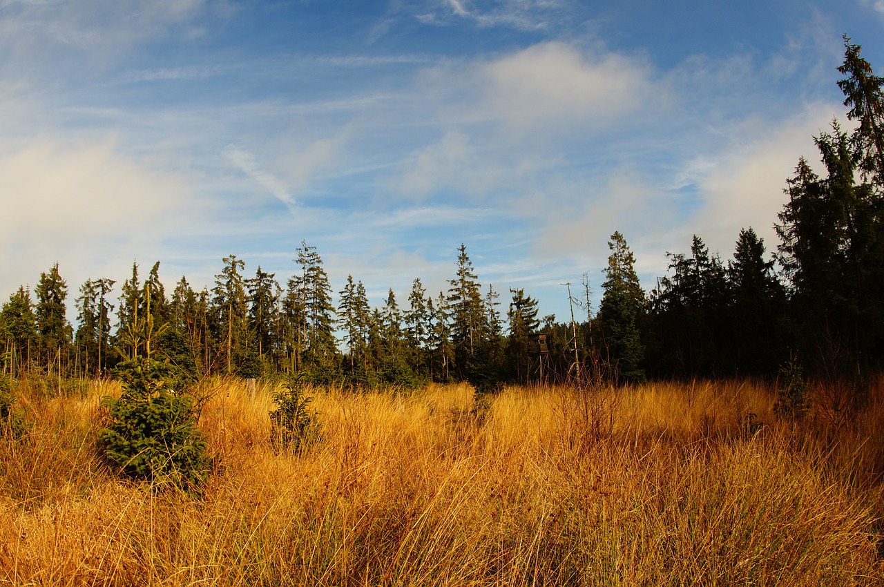 landscape moor nature reserve free photo