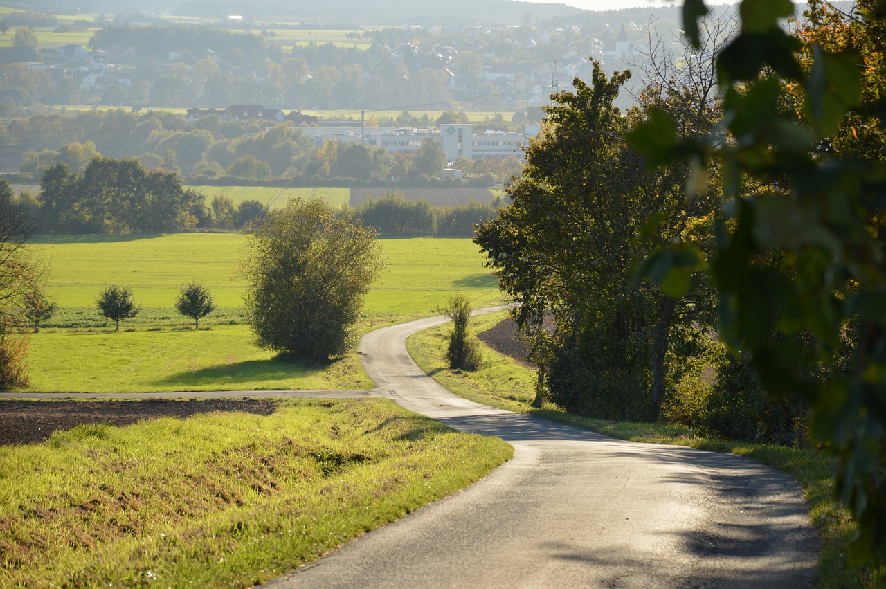 landscape away trees free photo