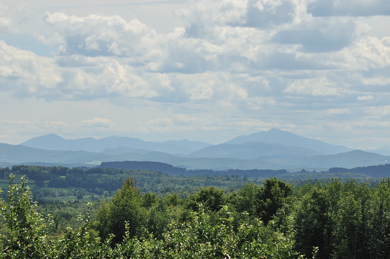 landscape nature summer free photo