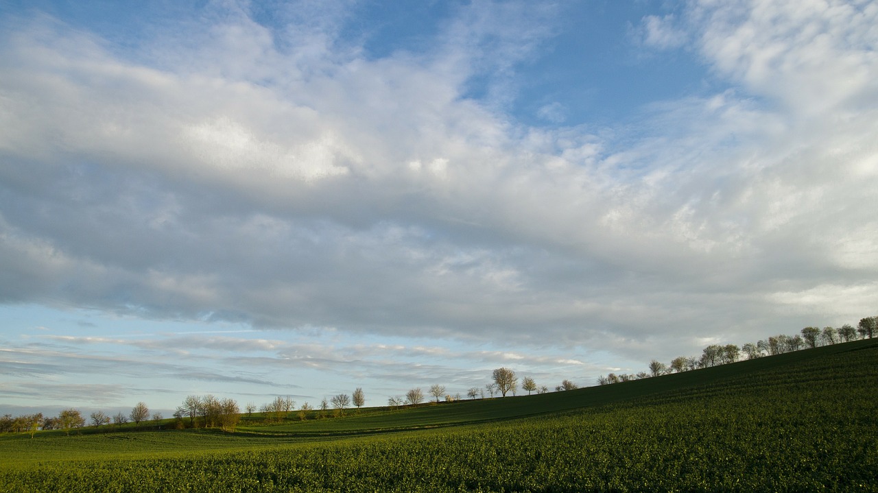 landscape trees landscape nature free photo