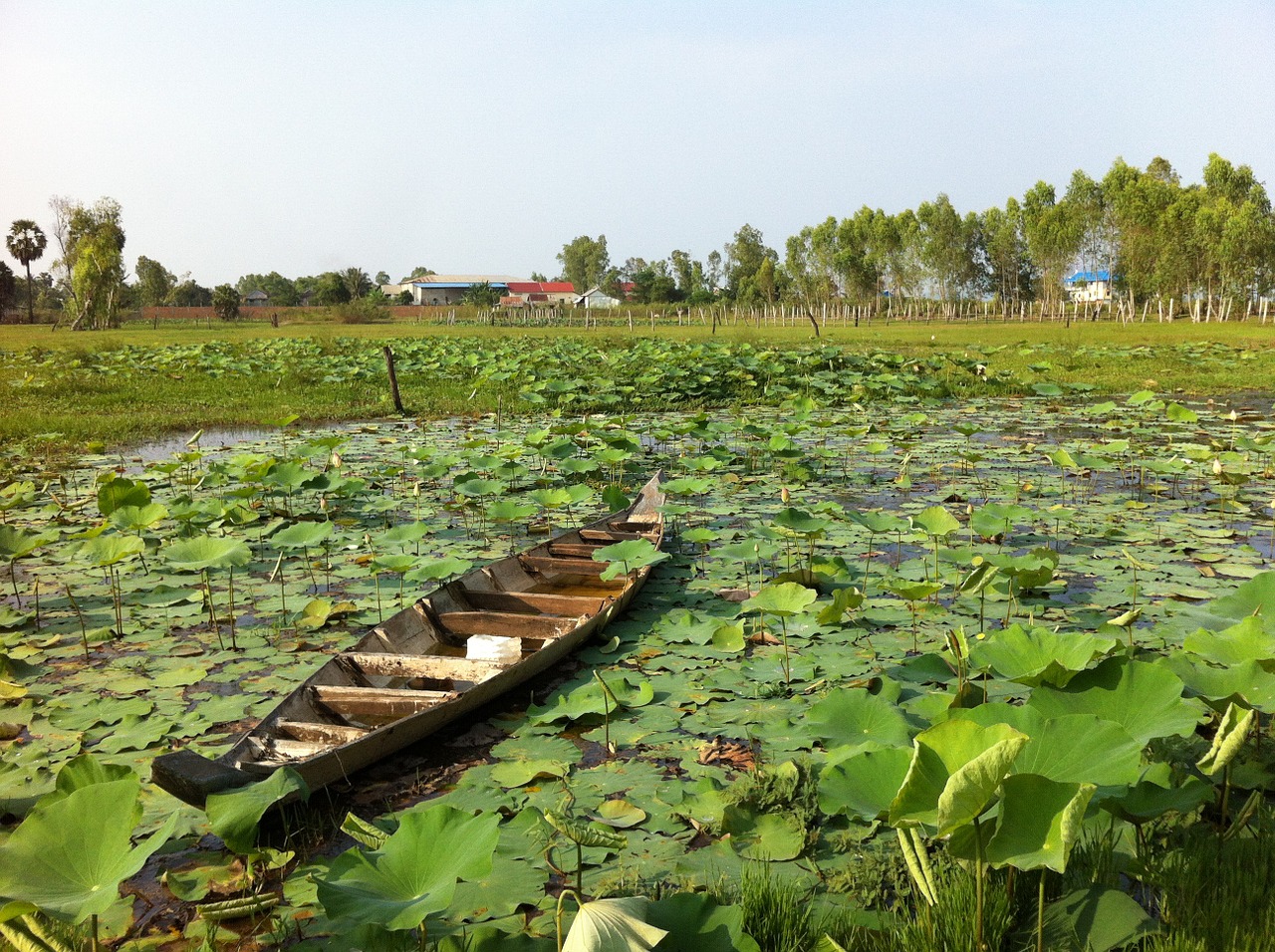 landscape water boat free photo