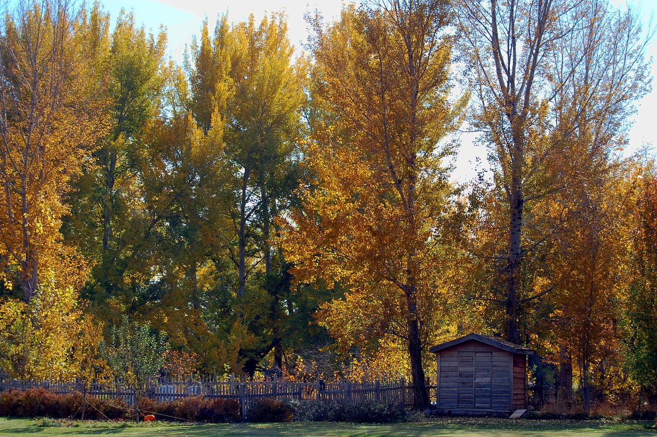 landscape autumn chicken coop free photo