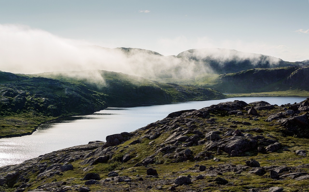 landscape stream fog free photo