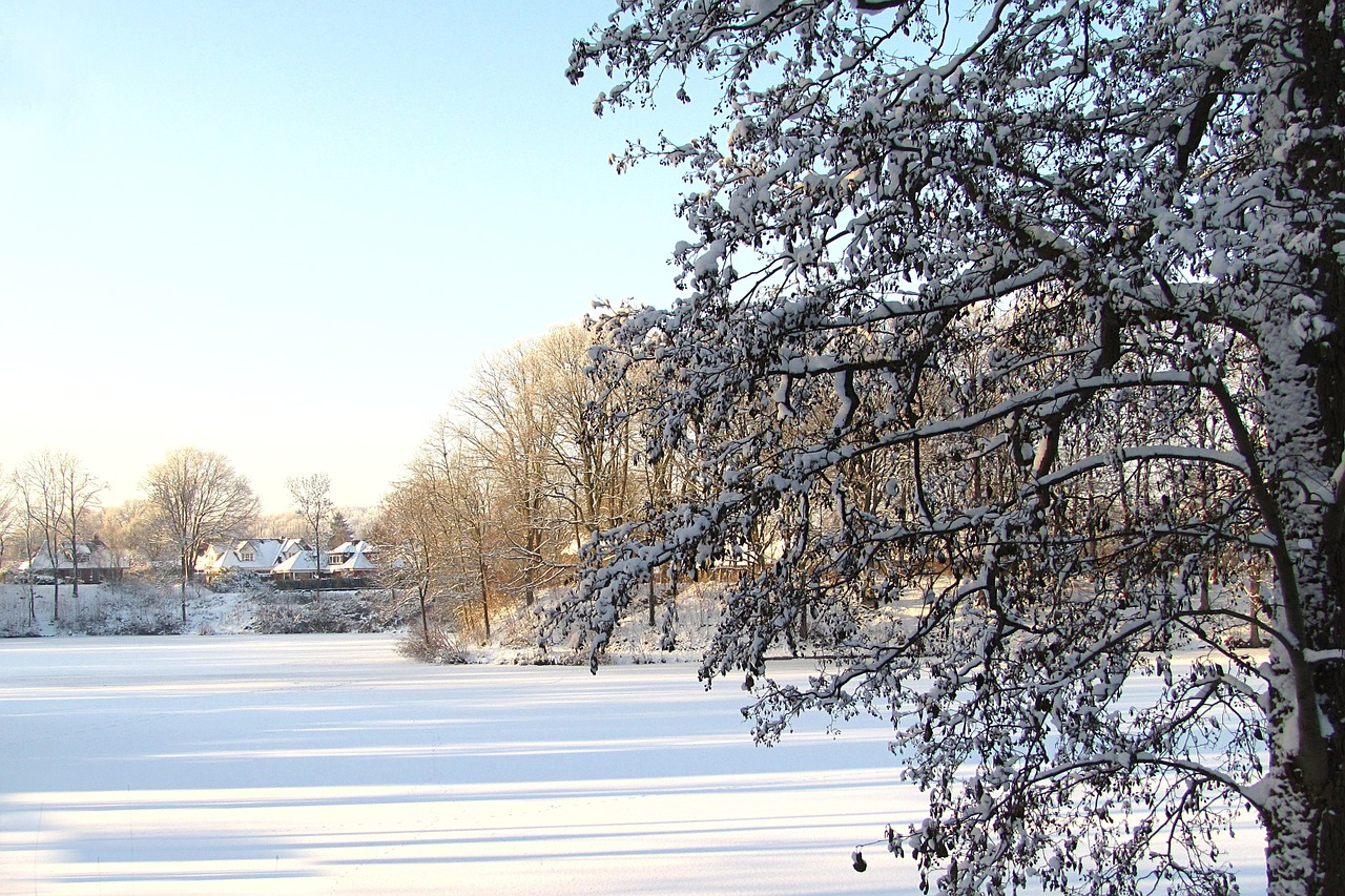 landscape time of year winter free photo