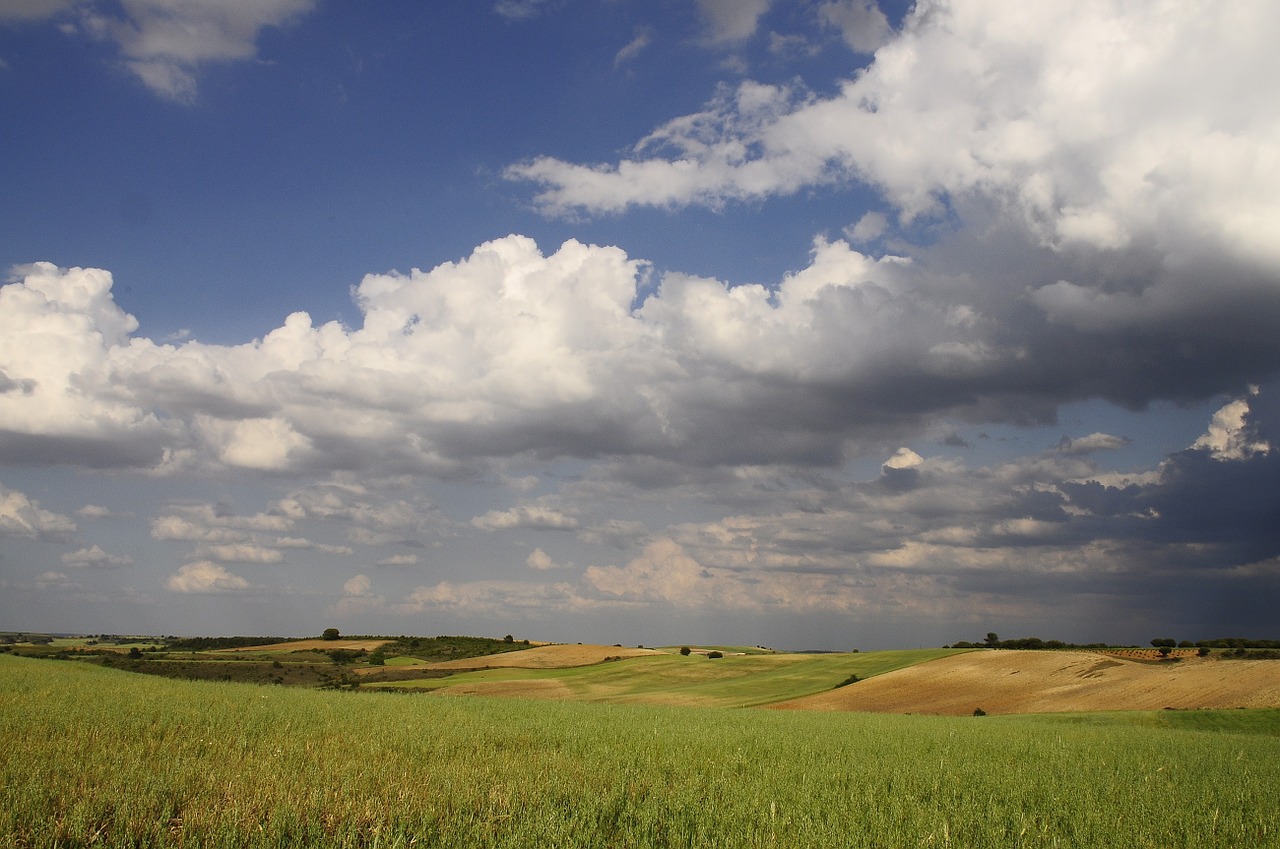 landscape clouds field free photo