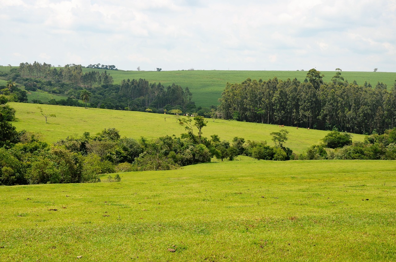 landscape nature jau brazil free photo