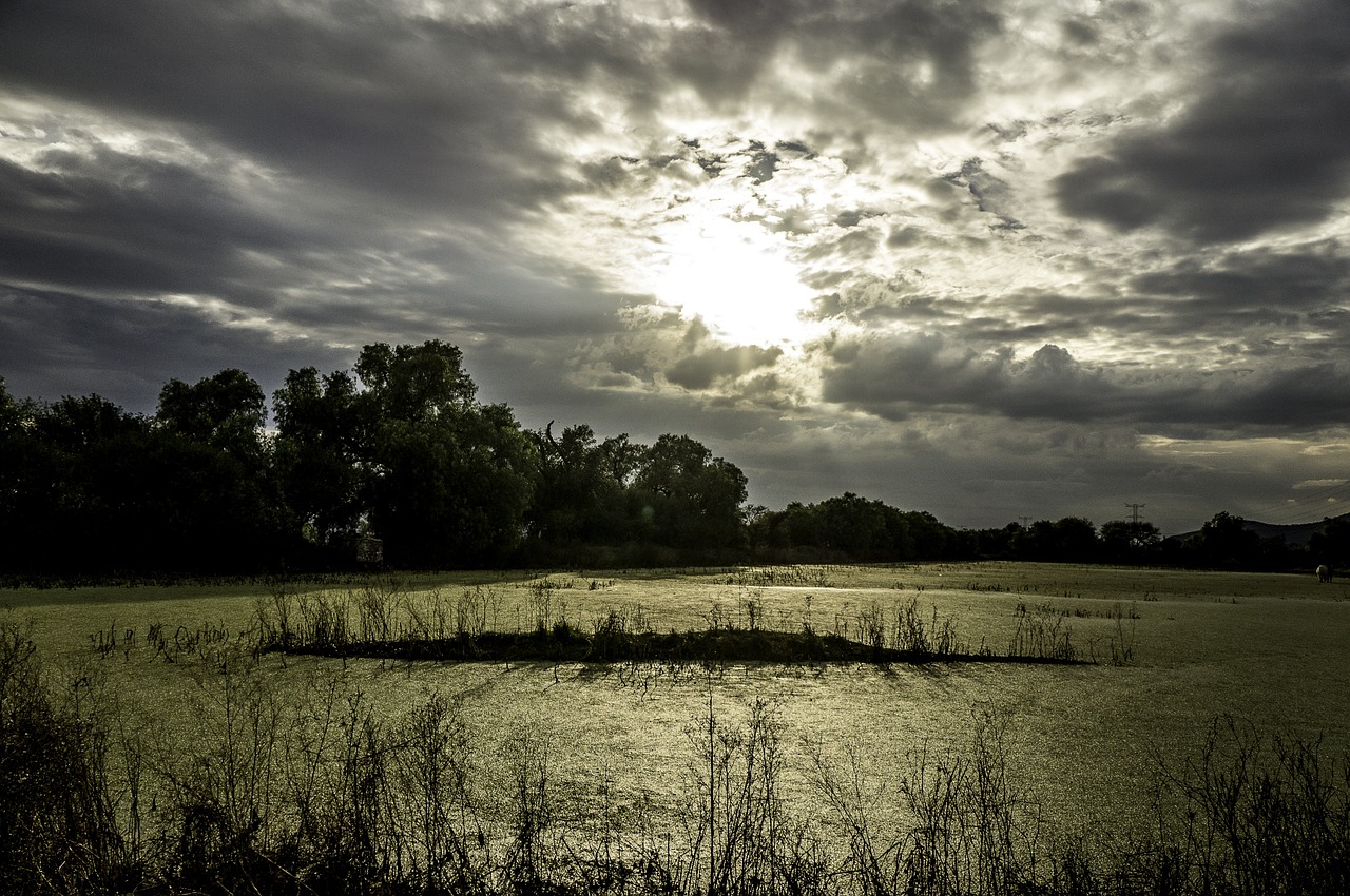 landscape cloudy water free photo