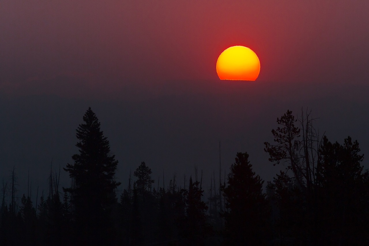 landscape sunrise silhouettes free photo