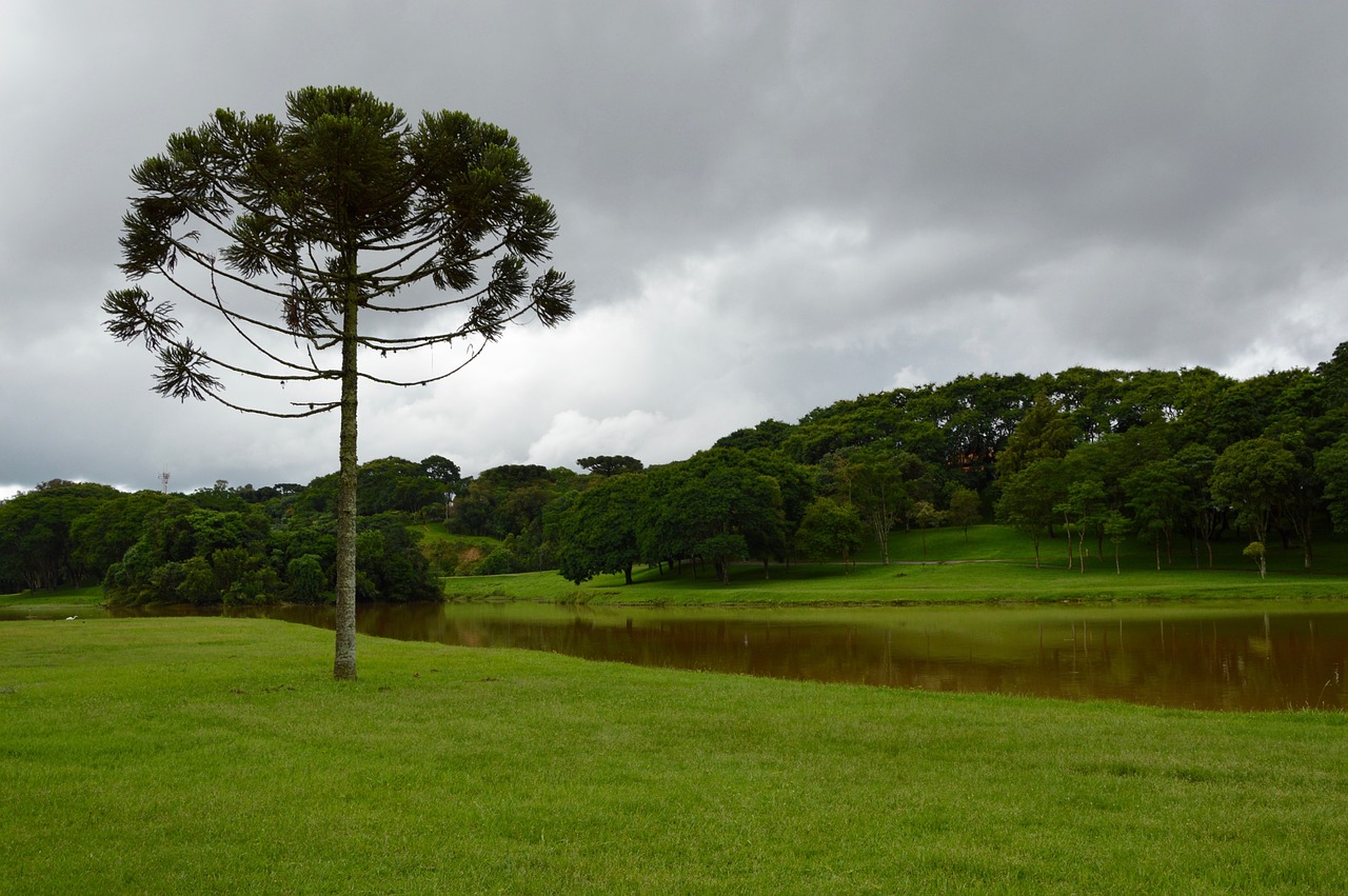 landscape lawn green free photo