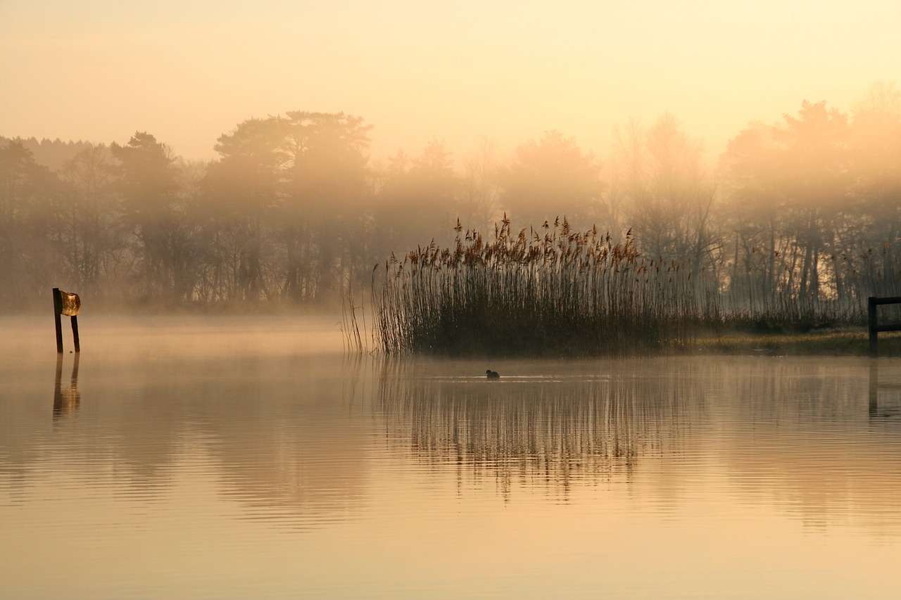 landscape lake fog free photo