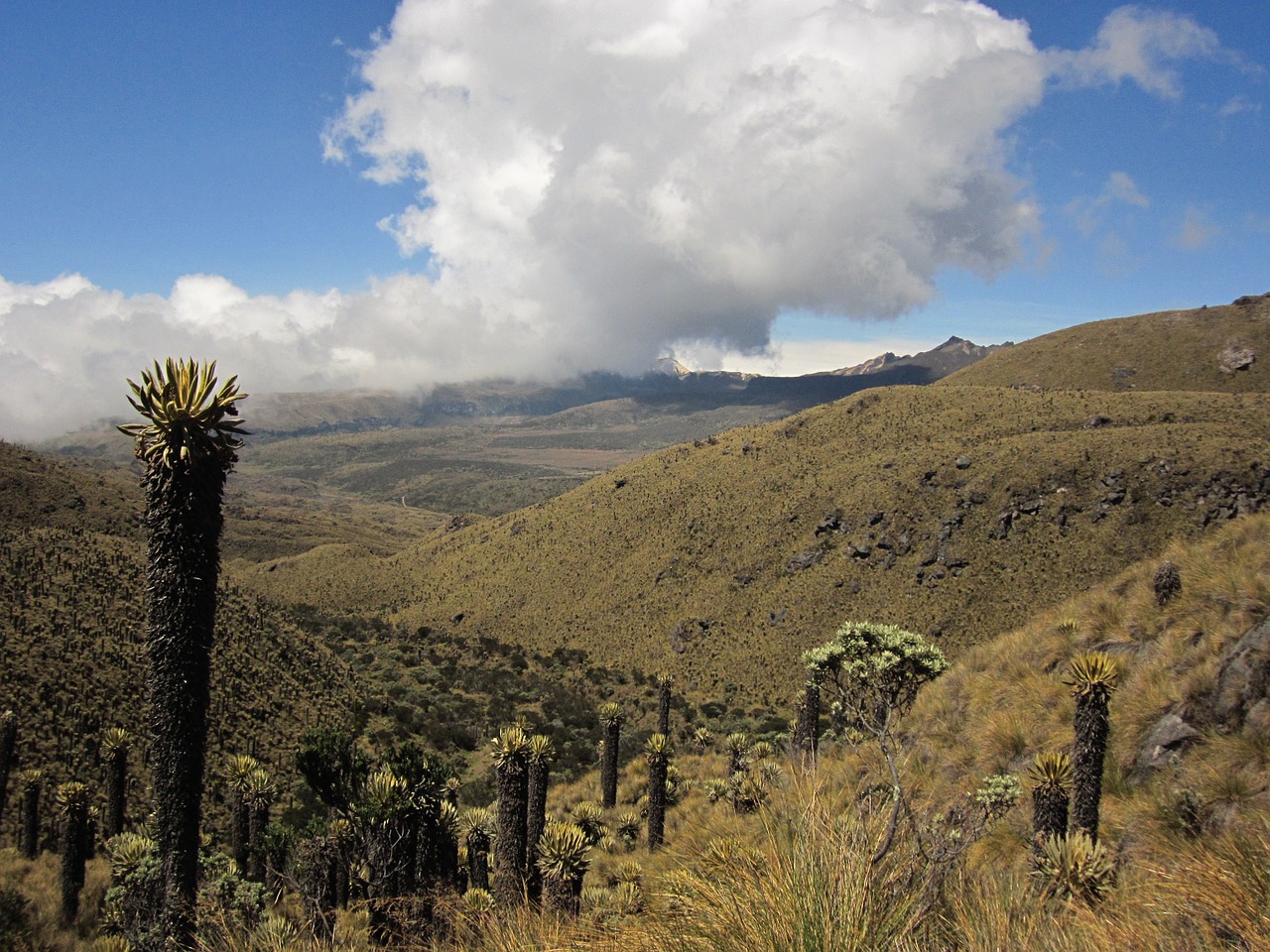 landscape cloud frailejon free photo