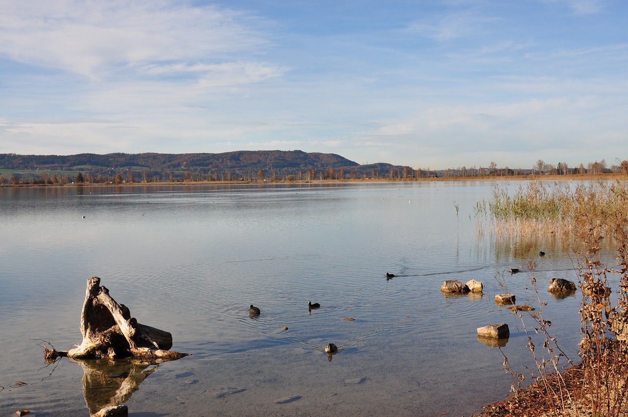 kochelsee landscape panorama free photo