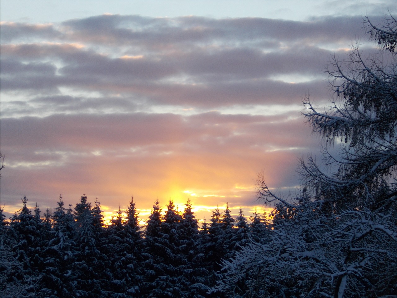 landscape morgenrot morning free photo