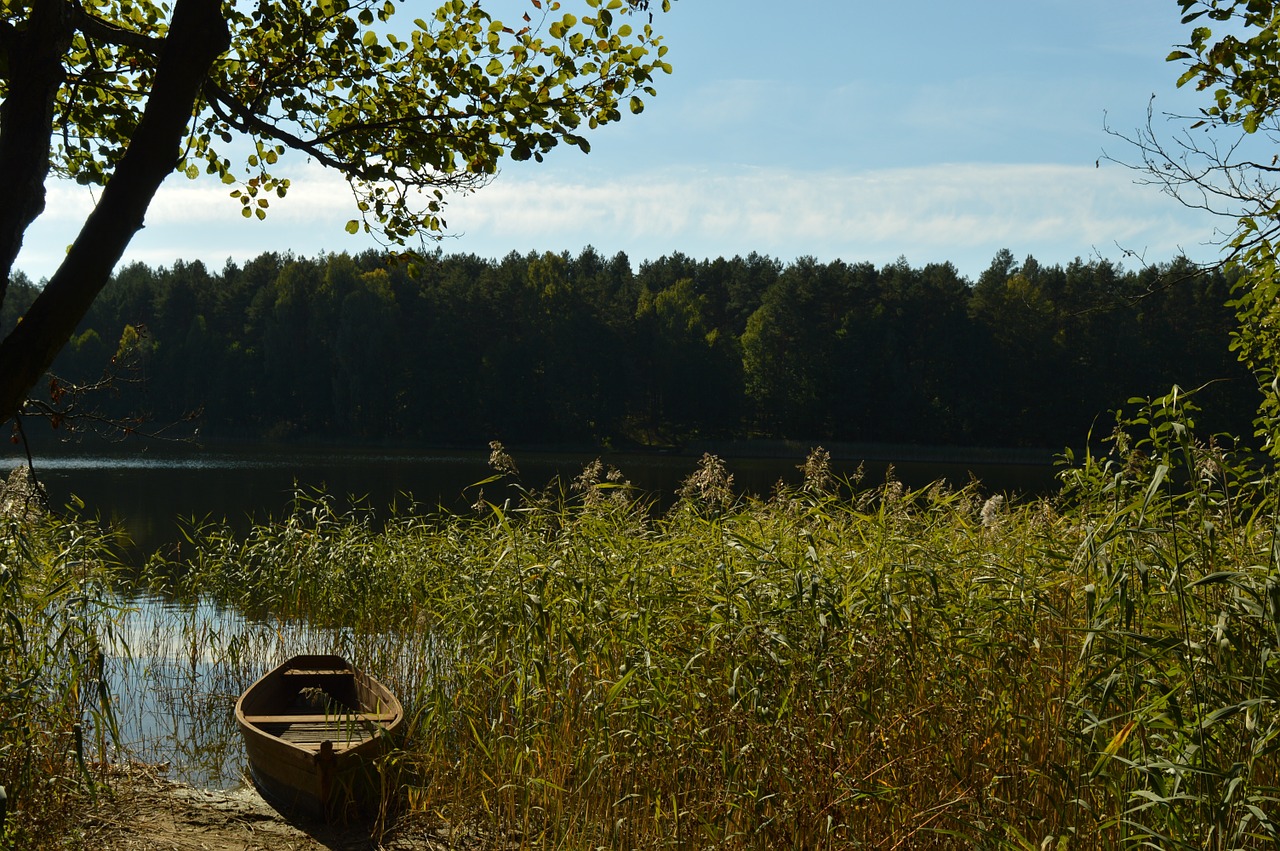 landscape poland nature free photo