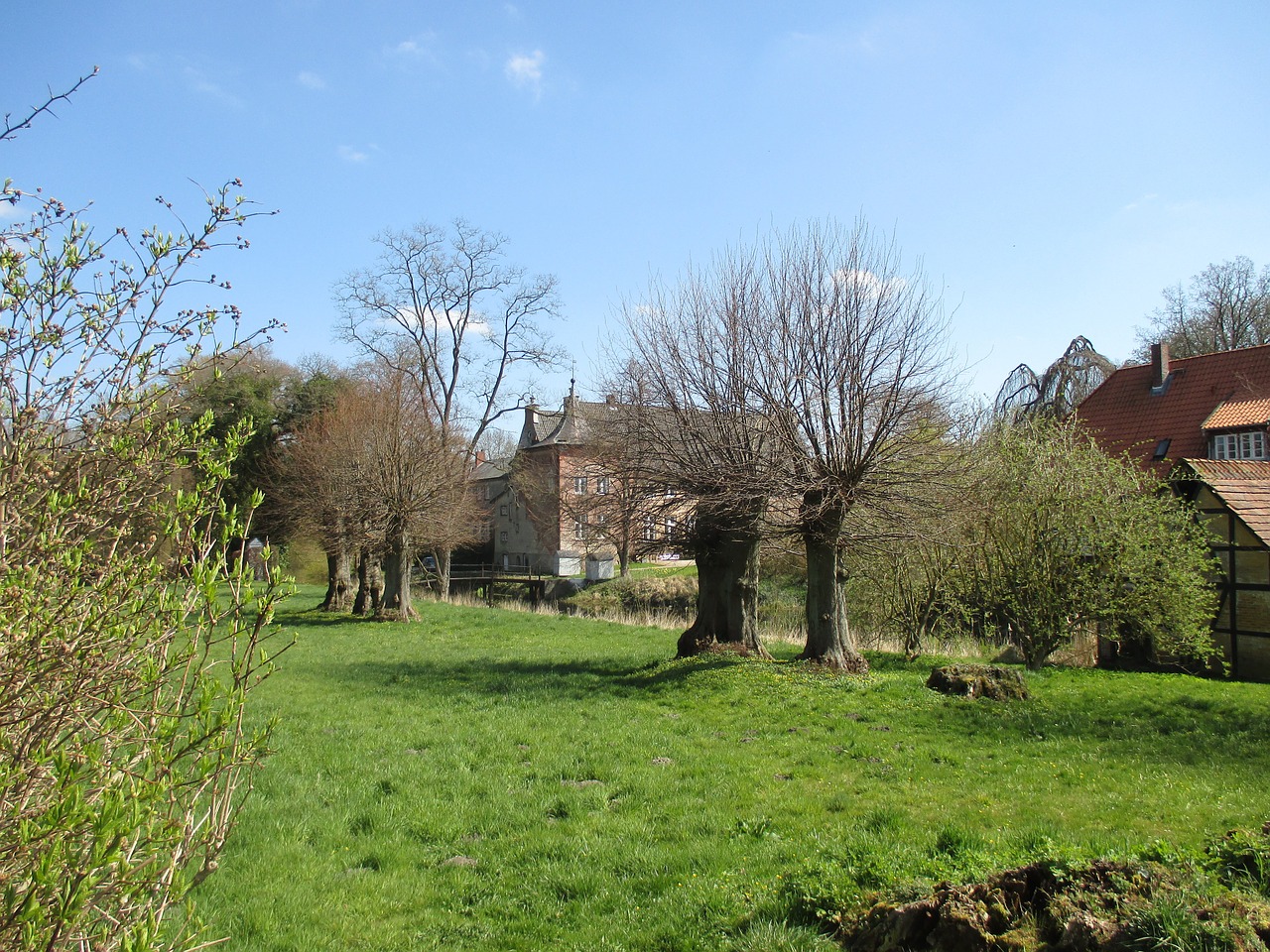 landscape northern germany pollarded willows free photo