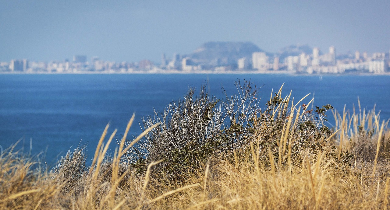 landscape sea cliff free photo