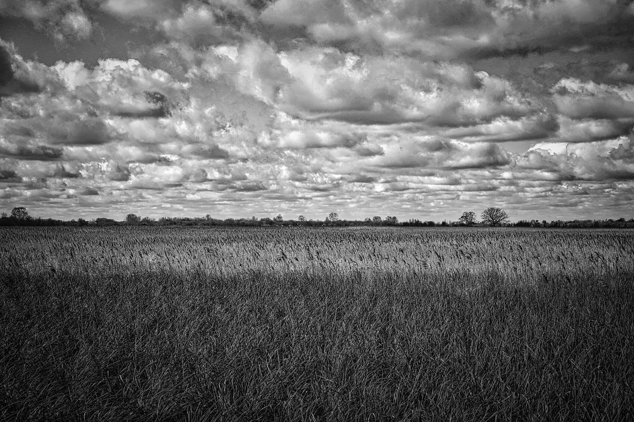 landscape sky rural free photo