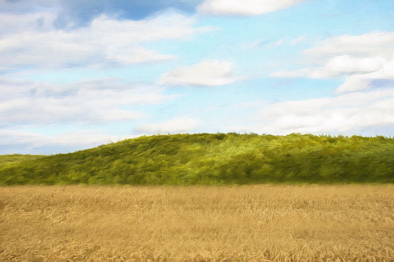 landscape clouds field free photo