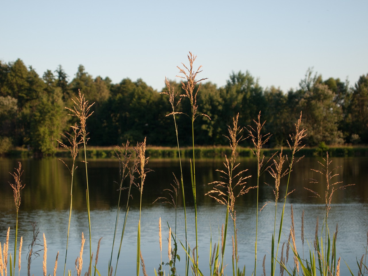 landscape view nature free photo