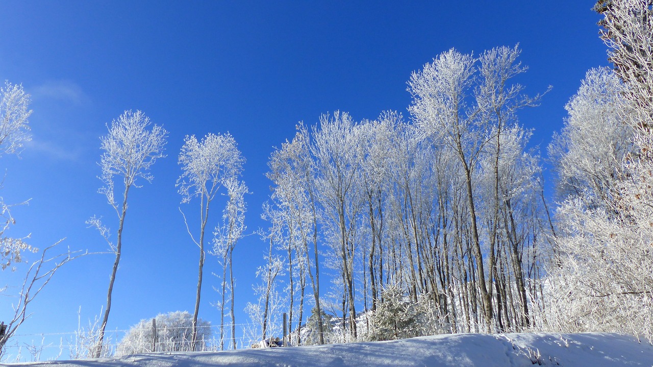 landscape winter winter landscape free photo