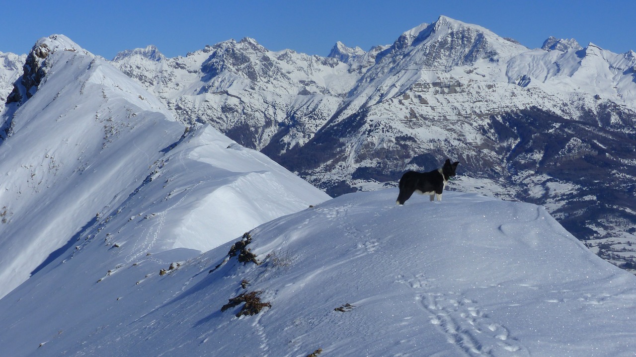 landscape mountain winter free photo